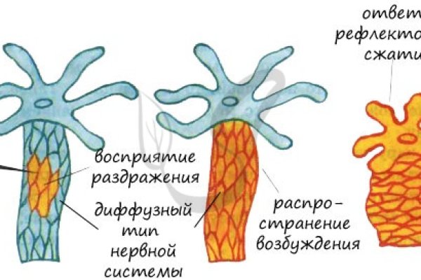 Сайт кракен 24