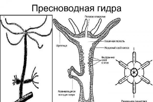 Рабочие ссылки kraken